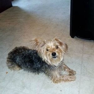 Meet your Posher, Beatriz